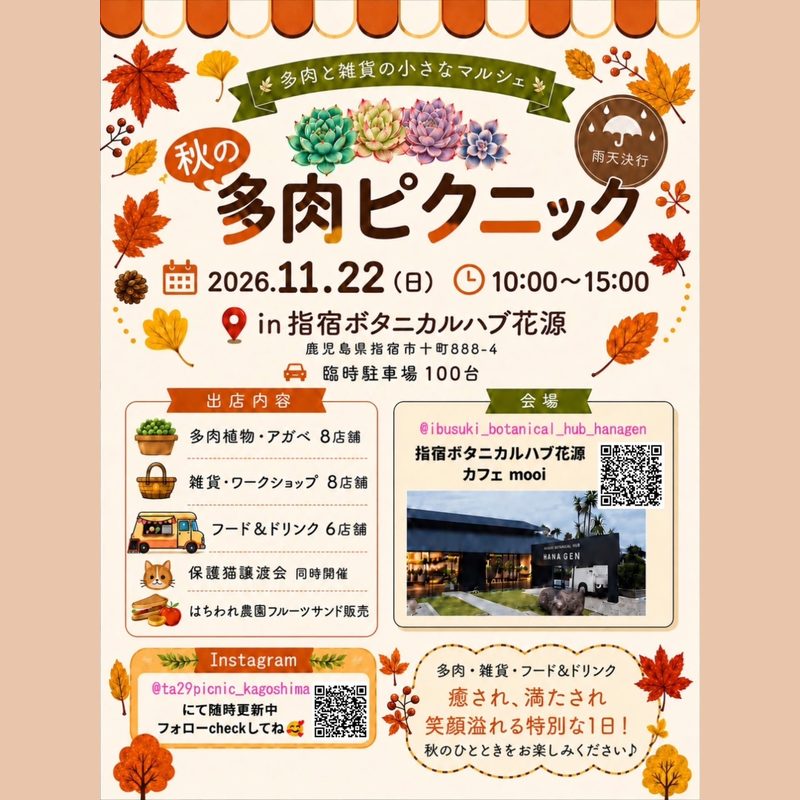 秋の多肉ピクニック