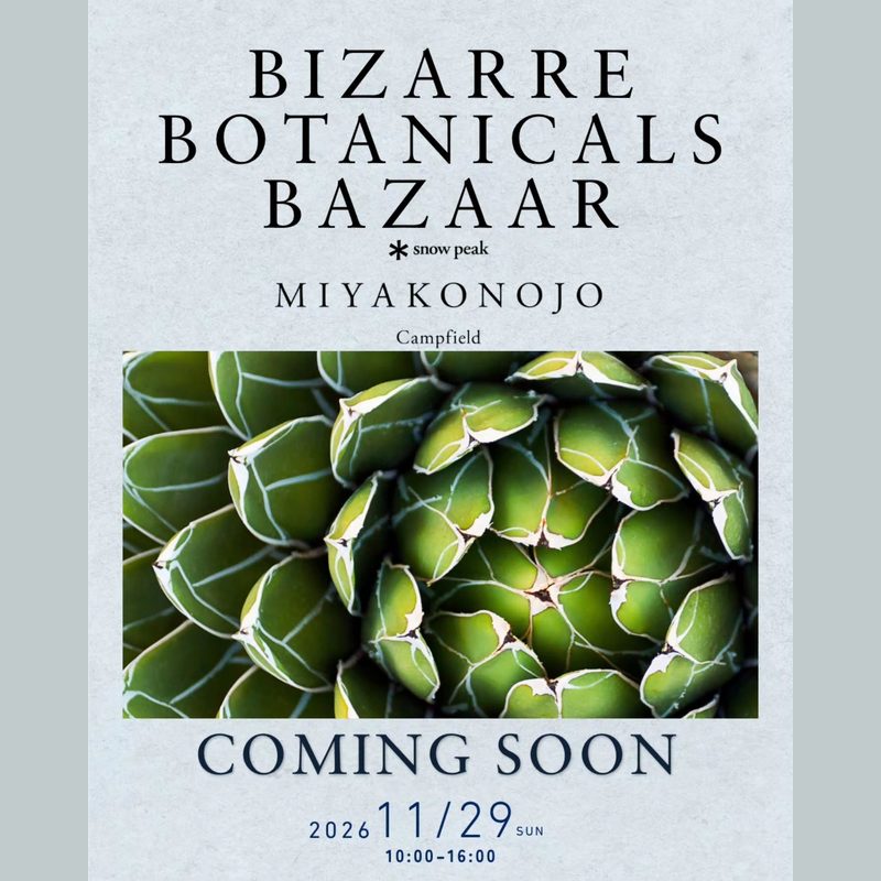Bizarre Botanicals Bazaar in Snow Peak MIYAKONOJO Campfield