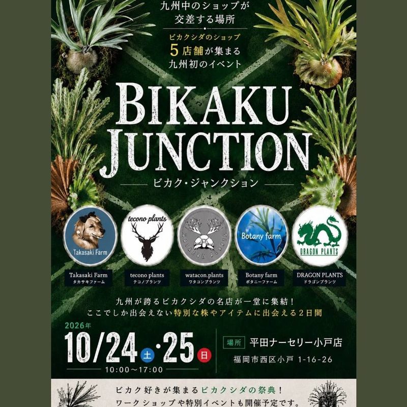 BIKAKU JUNCTION（ビカクジャンクション）