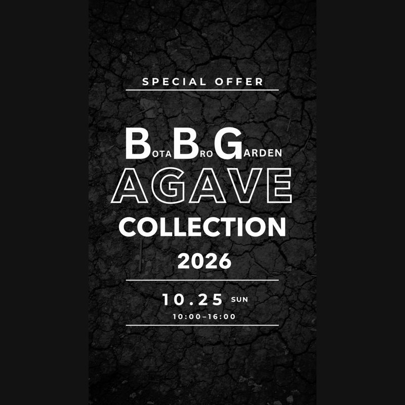 アガベ販売会 Agave collection 2026（Bota Bro Garden）