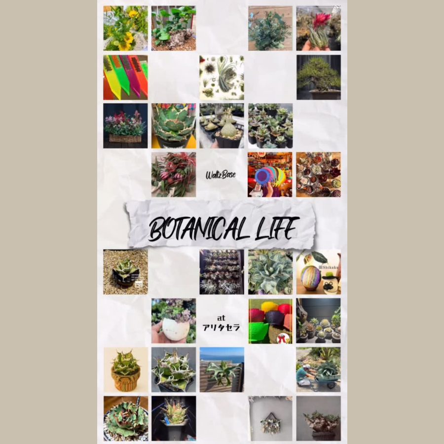 BOTANICAL LIFE 2026