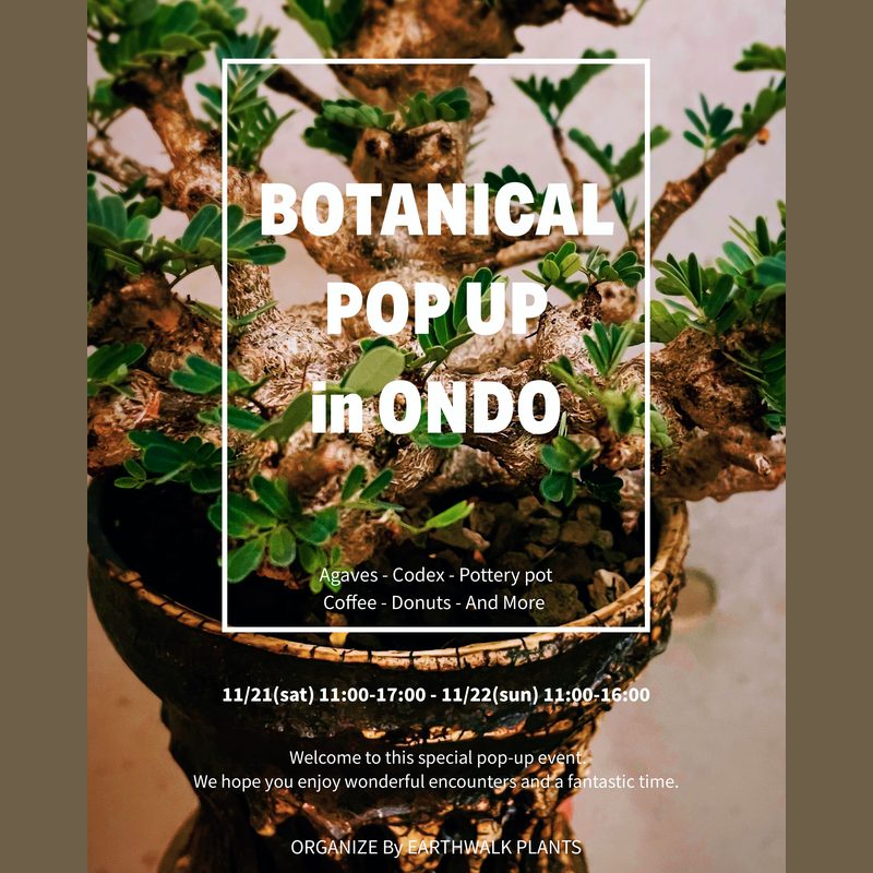 BOTANICAL POP UP（ONDO・鞍手町）