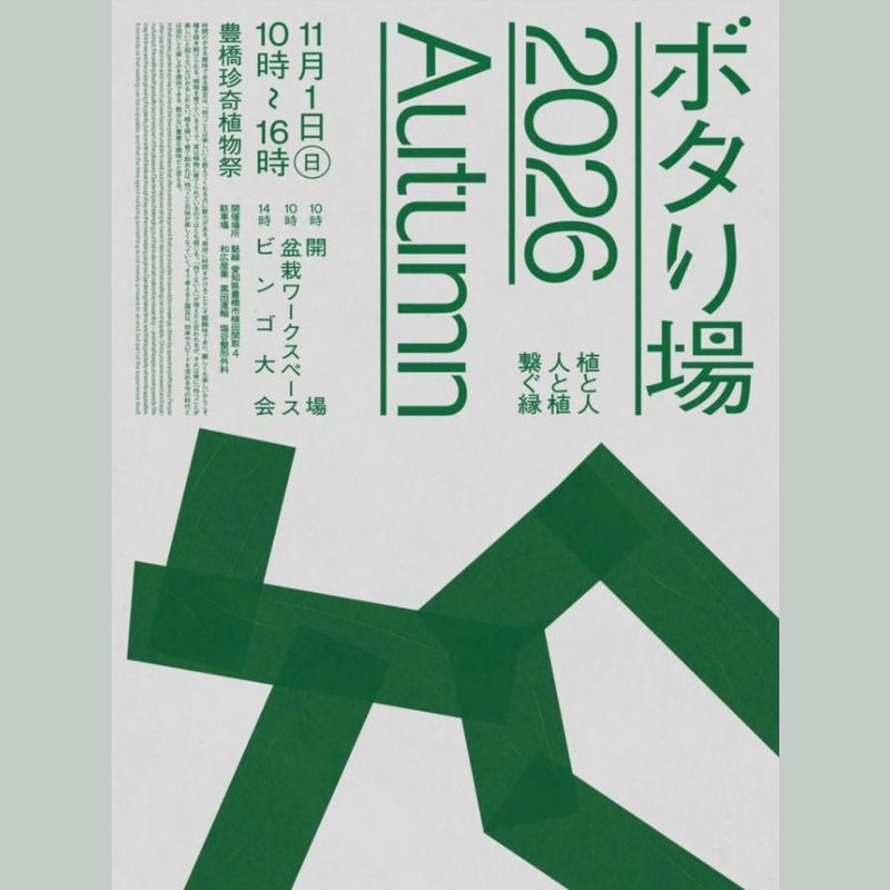 ボタり場 2026 Autumn