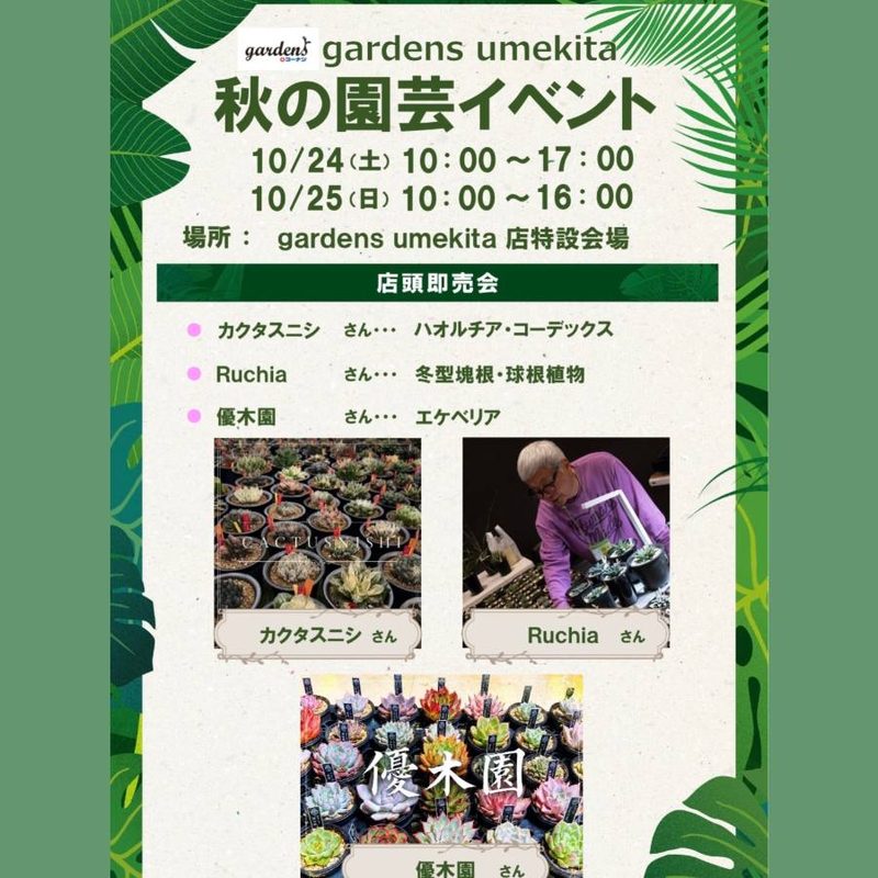 店頭即売会 カクタスニシ・Ruchia・優木園（gardens umekita）