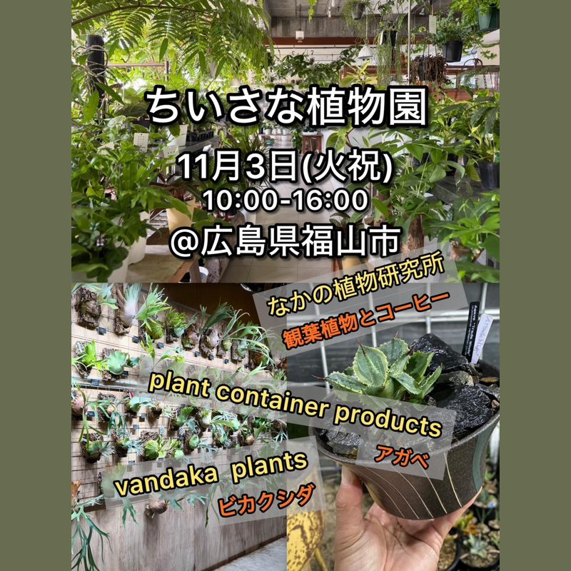 ちいさな植物園 vol.3（なかの植物研究所）