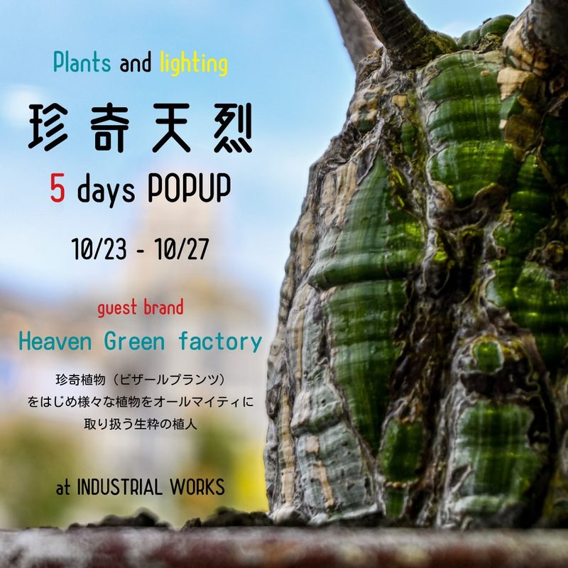 珍奇天烈植物 vol.5