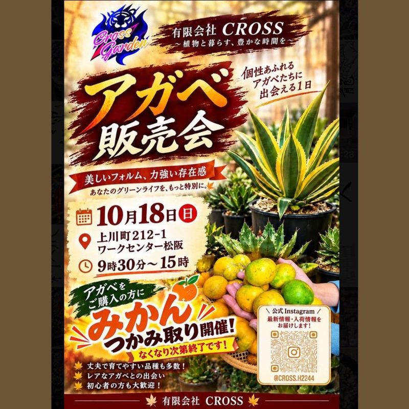 CROSS アガベ販売会（松阪ワークセンター）