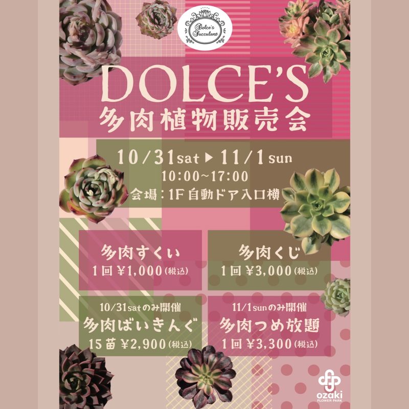 DOLCE’S 多肉植物販売会（オザキフラワーパーク）
