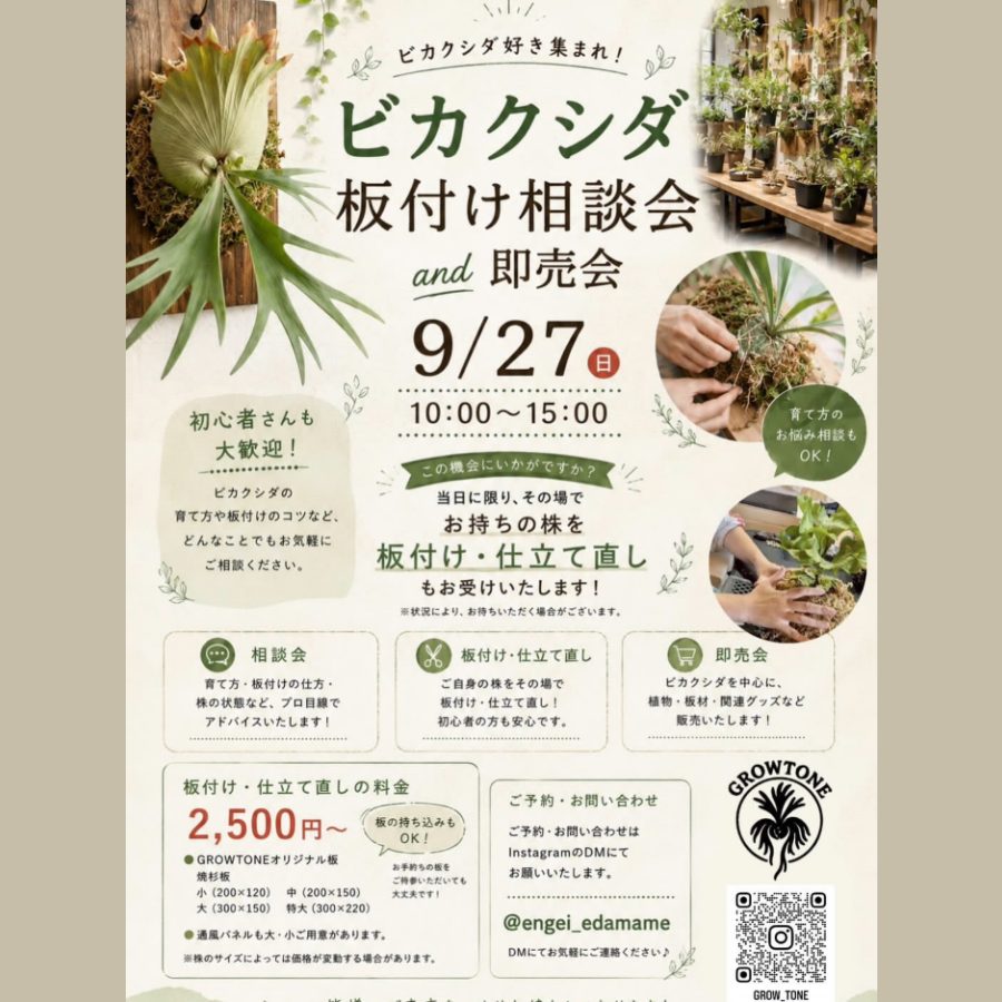 ビカクシダ板付け相談会 & 即売会