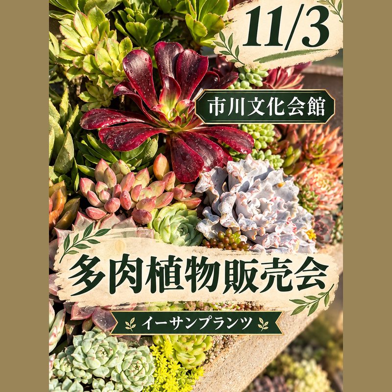 イーサンプランツ 多肉植物販売会（イーサン祭）