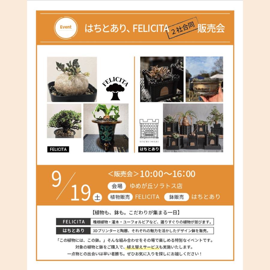 FELICITA × はちとあり 2社合同販売会