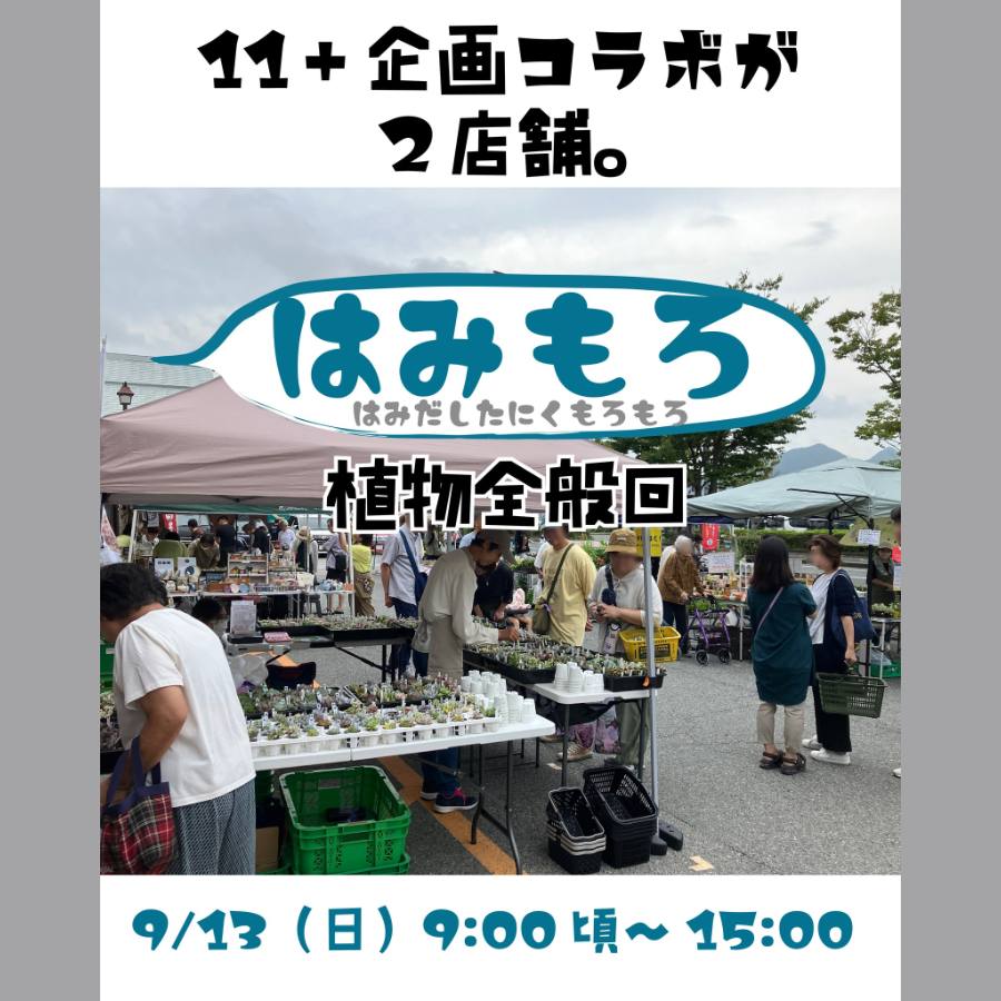 はみもろ（2026年9月）