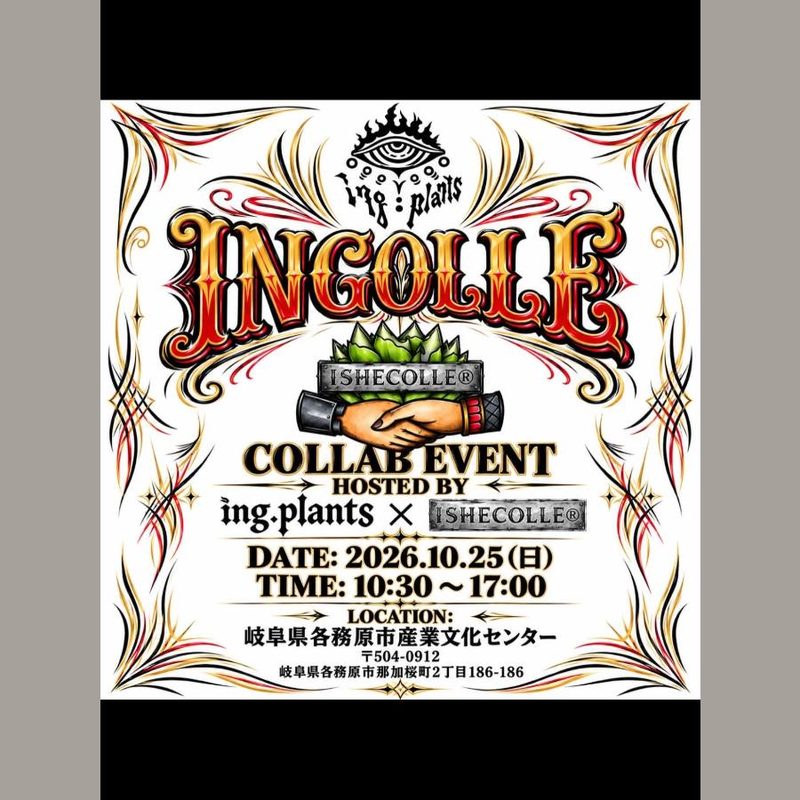 INGOLLE