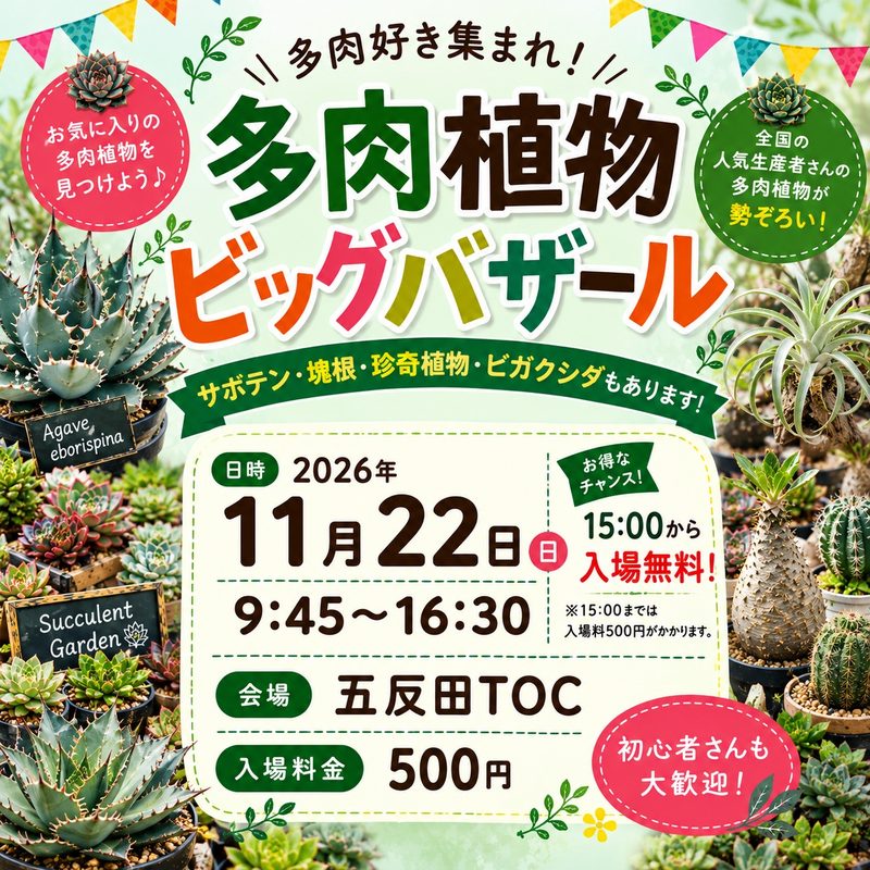 11月のサボテン・多肉植物ビッグバザール