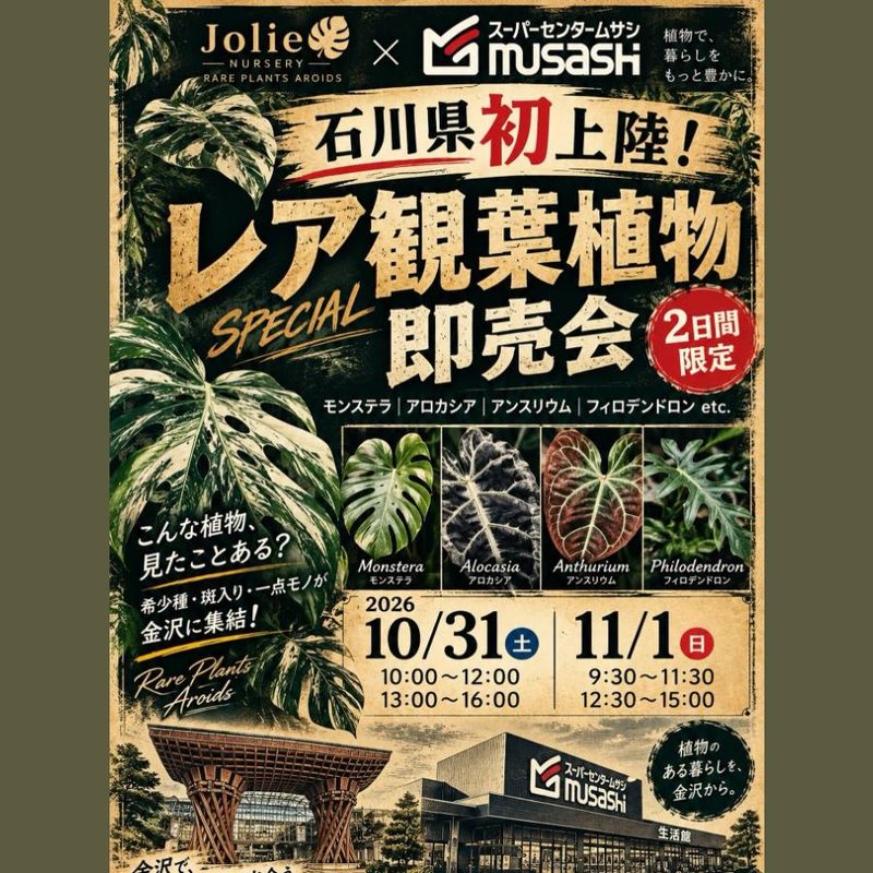 レアアロイド即売会（Jolie Nursery・ムサシ金沢店）