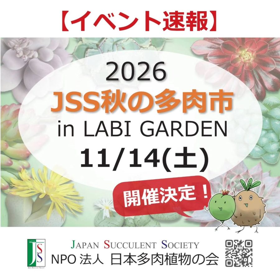 JSS秋の多肉市