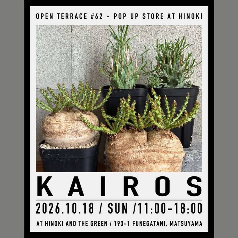 kairos POP UP（HINOKI and the green）