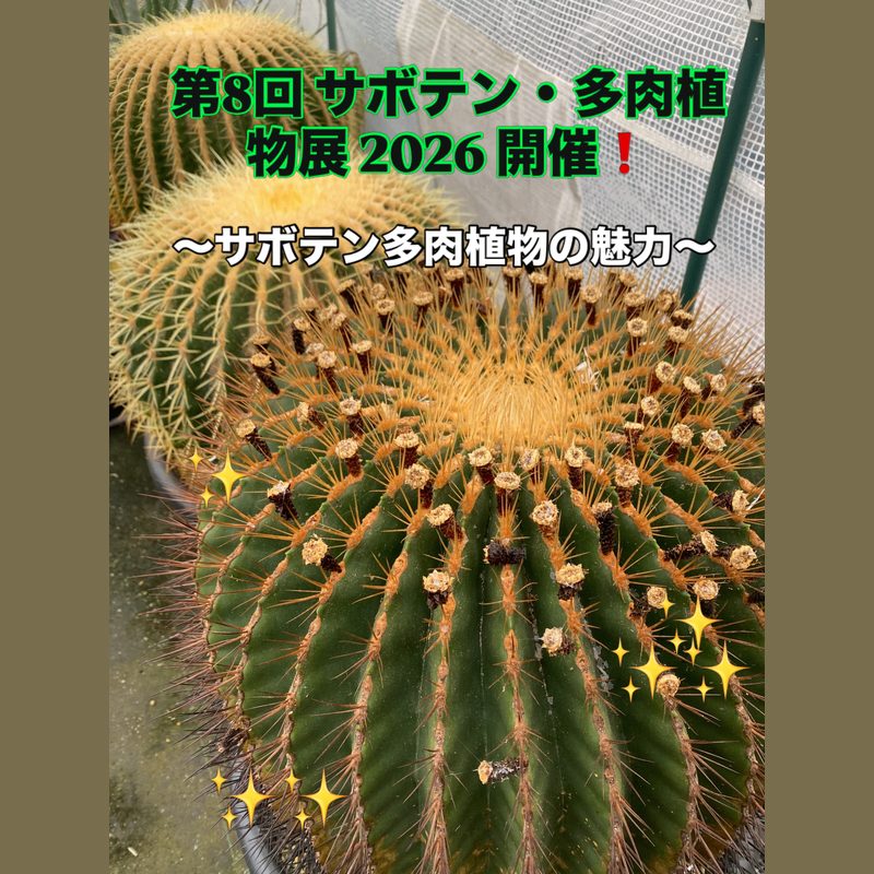 第8回 サボテン・多肉植物展 2026（掛川花鳥園）