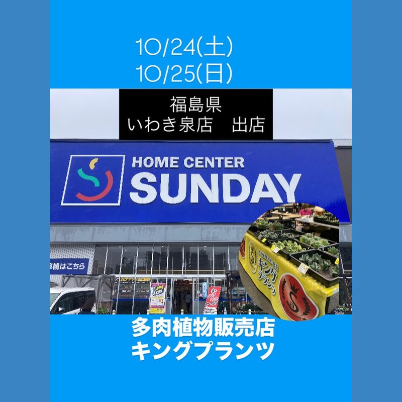 キングプランツ in ホームセンターサンデー いわき泉店