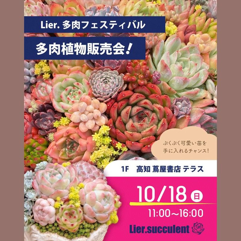 Lier.多肉フェスティバル in 高知 蔦屋書店
