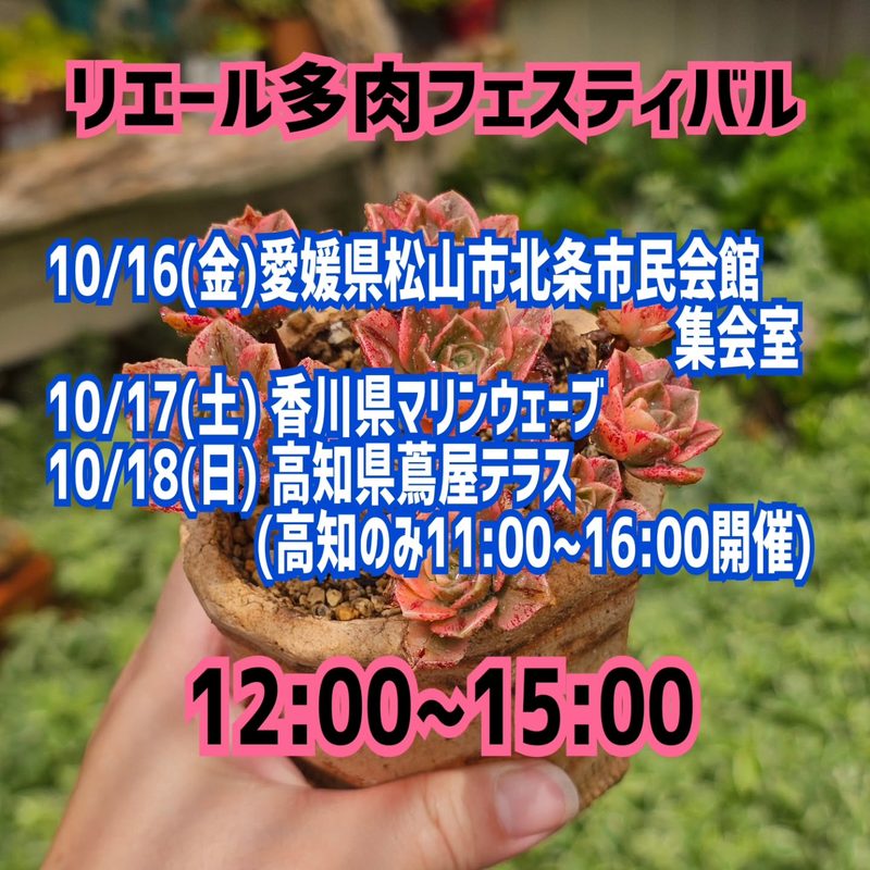 Lier.多肉フェスティバル in 三豊
