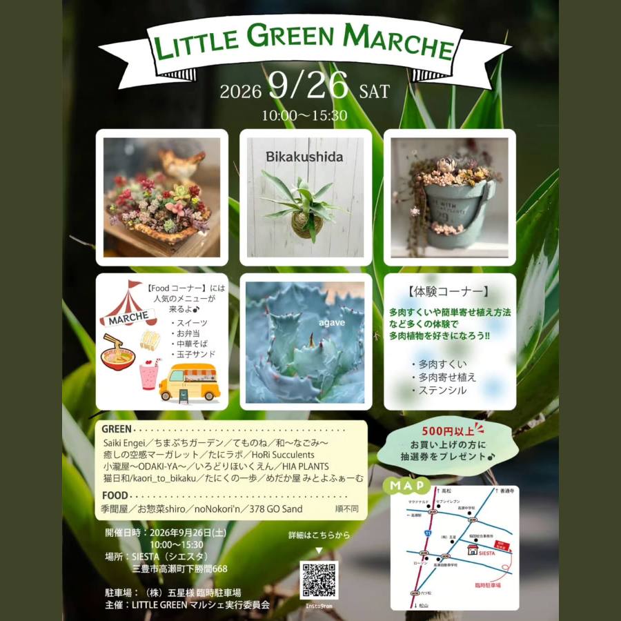 LITTLE GREEN MARCHE