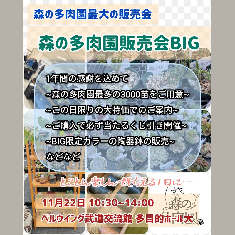 森の多肉園販売会 BIG