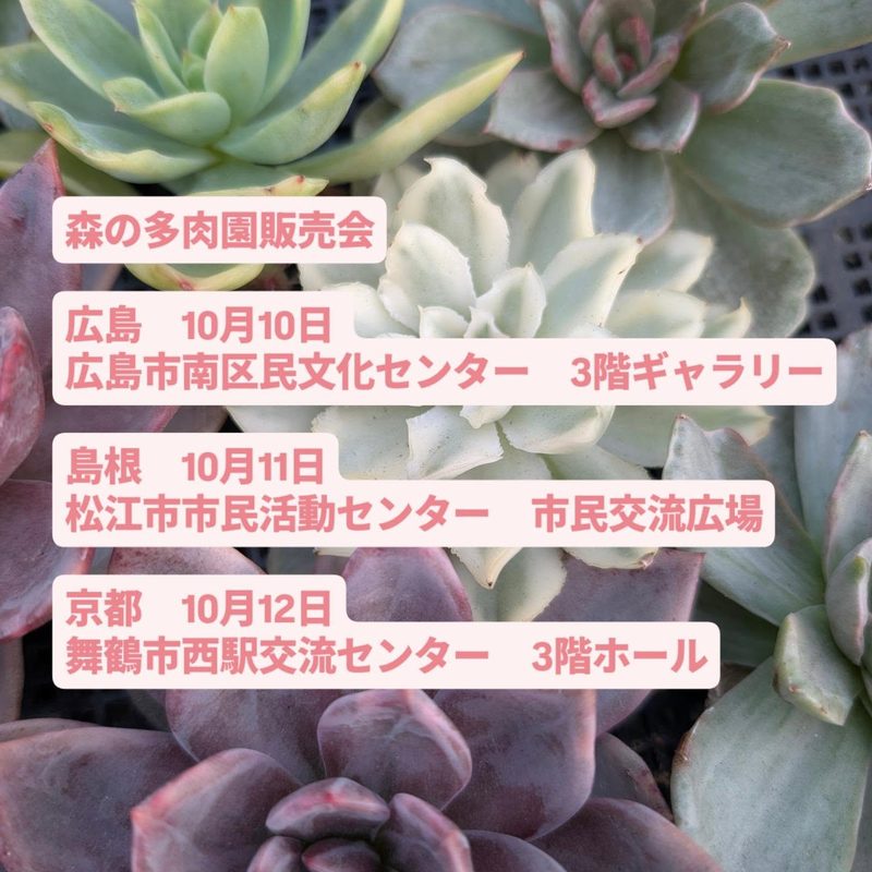 森の多肉園販売会 in 広島