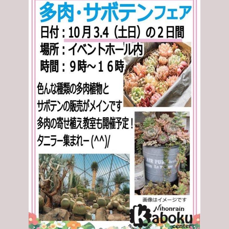 多肉・サボテンフェア（日本ライン花木センター）