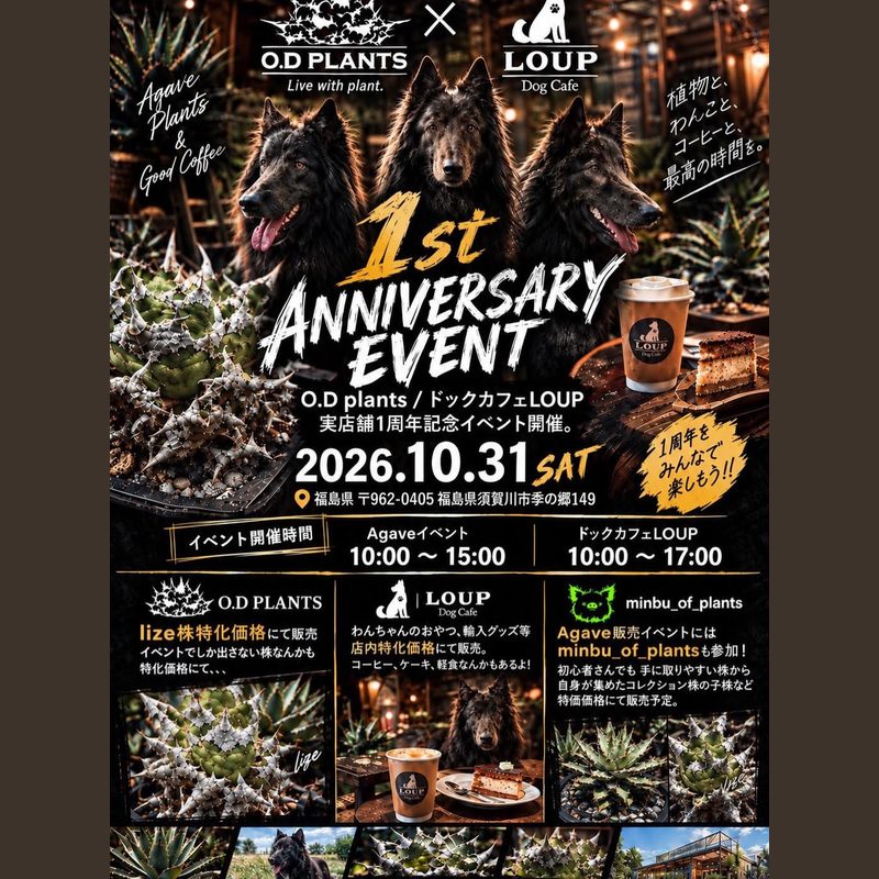 O.D plants 1周年記念イベント