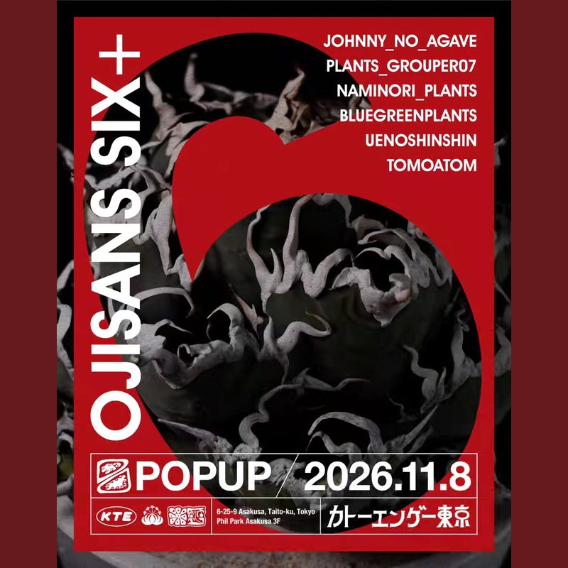 OJISANS6（カトーエンゲー東京）