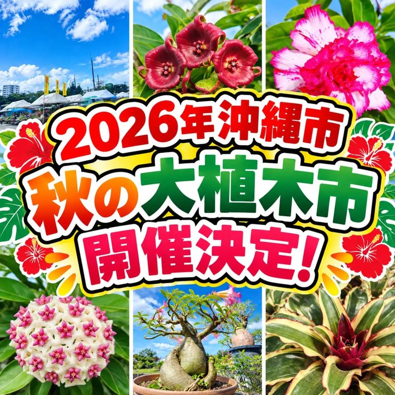 2026年 沖縄市 秋の大植木市