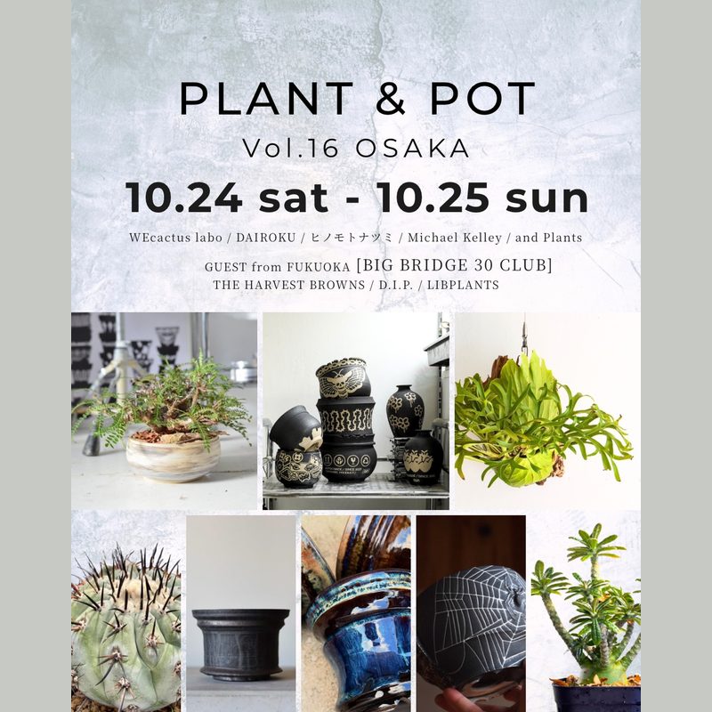 PLANT & POT Vol.16