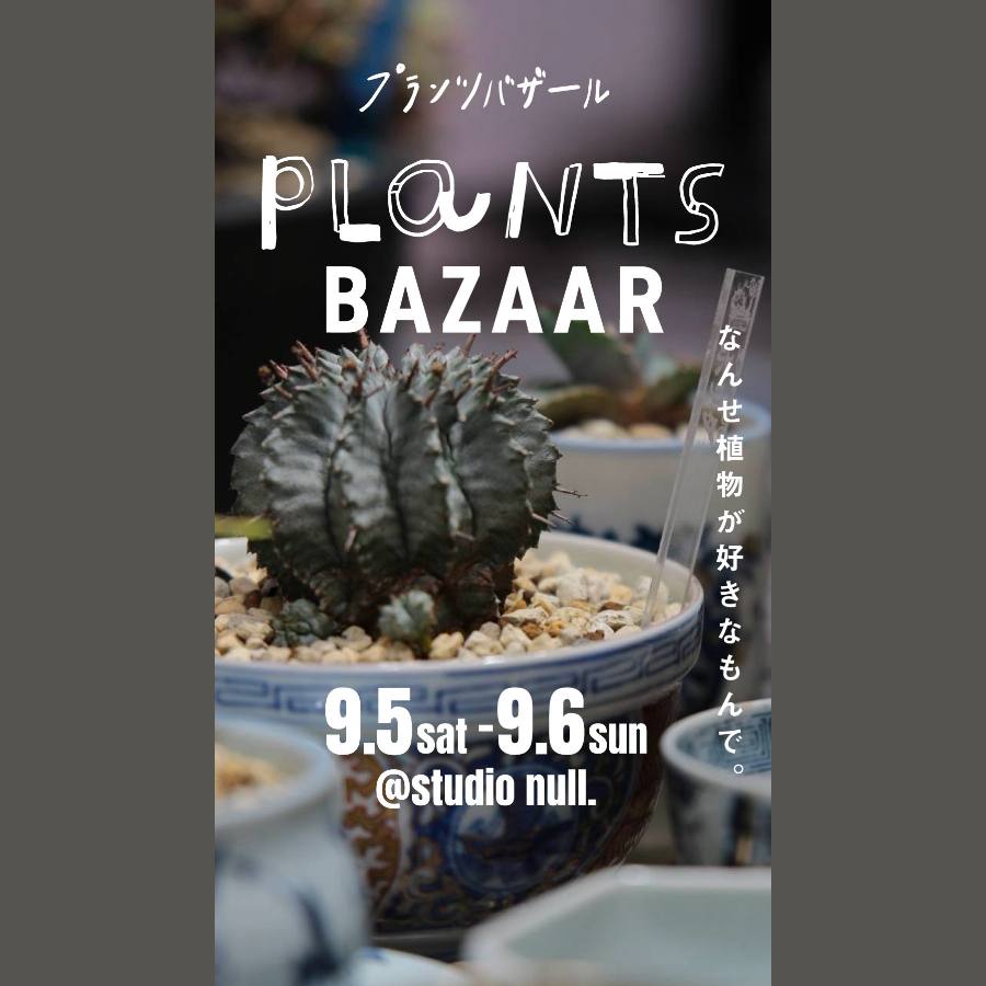 PLANTS BAZAAR なんせ植物が好きなもんで。