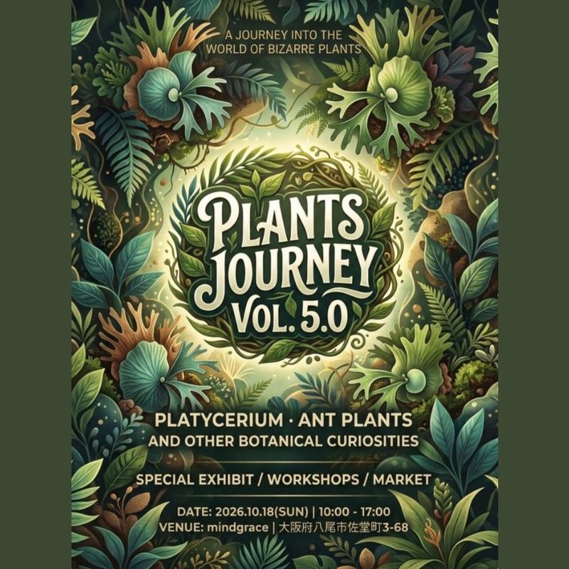 Plants Journey Vol.5