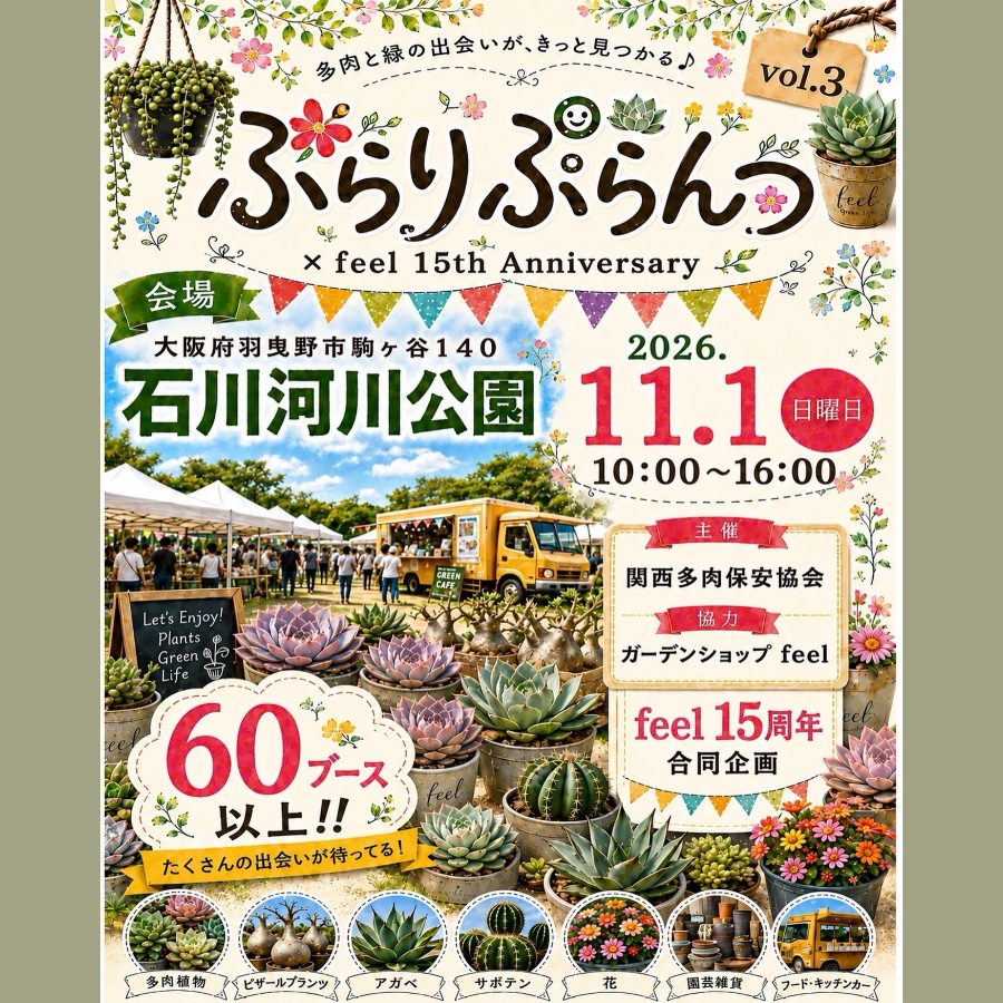 ぷらりぷらんつ vol.3 × feel 15th Anniversary