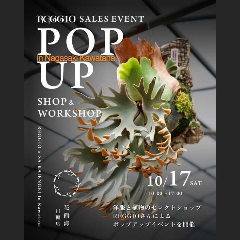 REGGIO POP UP SHOP in NAGASAKI KAWATANA（西海園芸 川棚店）