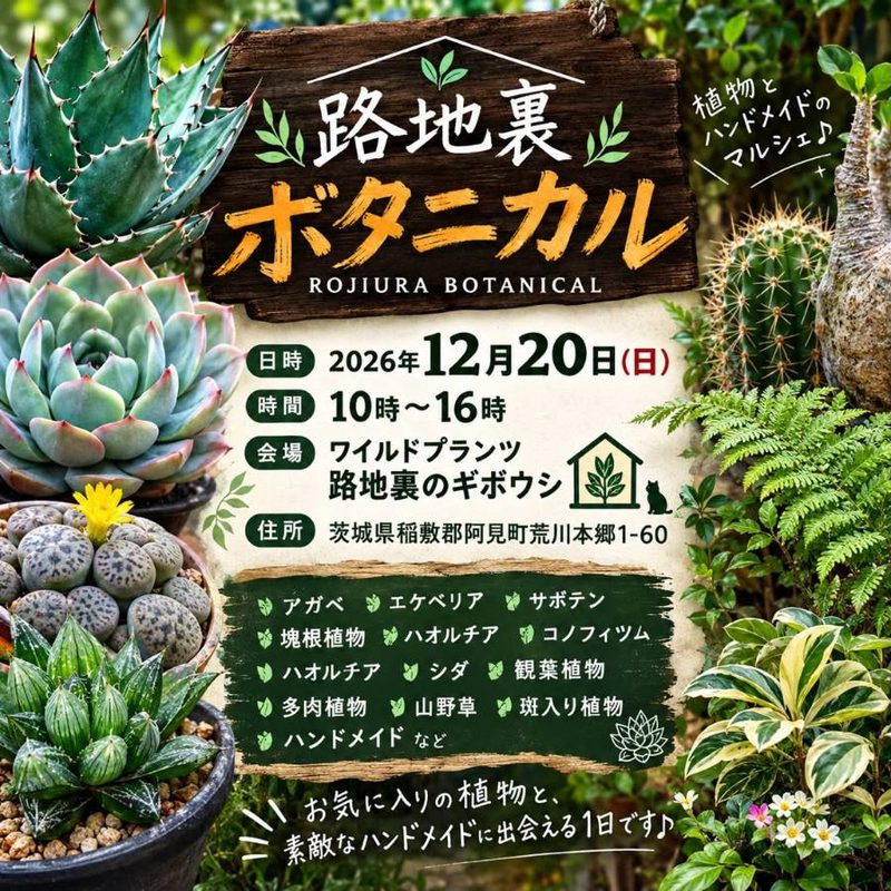 路地裏ボタニカル（2026年12月）