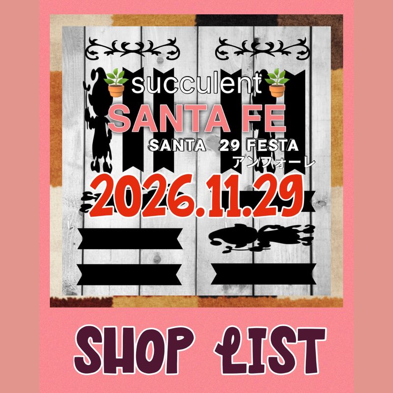 SANTA_29 FESTA vol.20（サンタフェ）