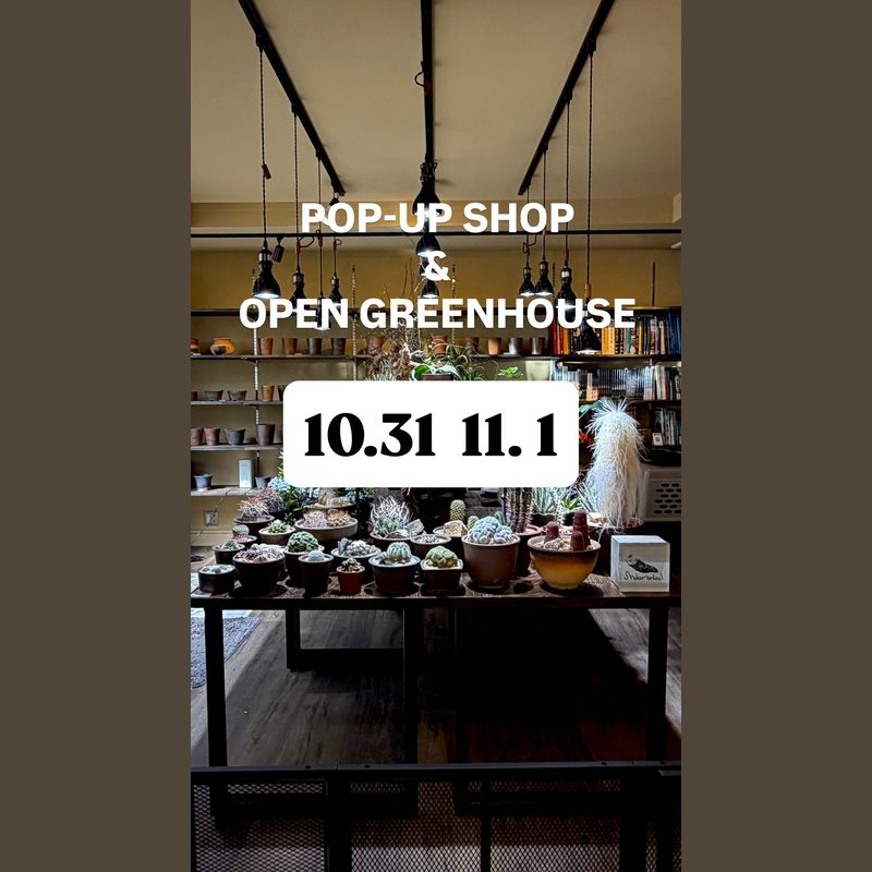 Shabomaniac! POP-UP SHOP & OPEN GREENHOUSE