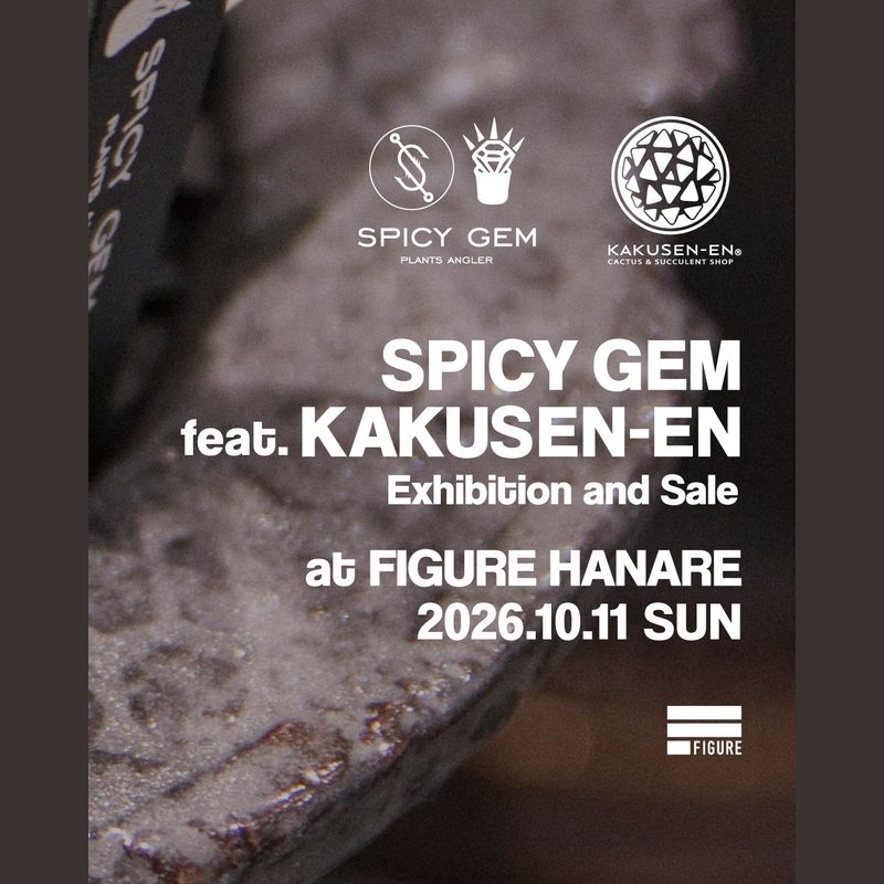 SPICY GEM feat. KAKUSEN-EN at FIGURE HANARE