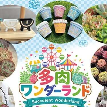 多肉ワンダーランド 第2回
