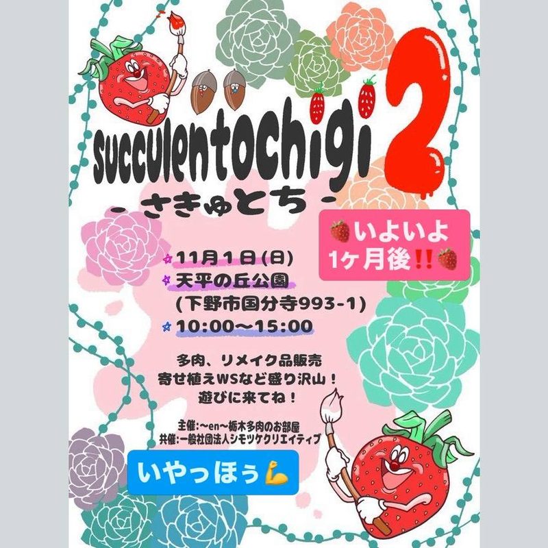さきゅとち2（succulent ochigi 2）