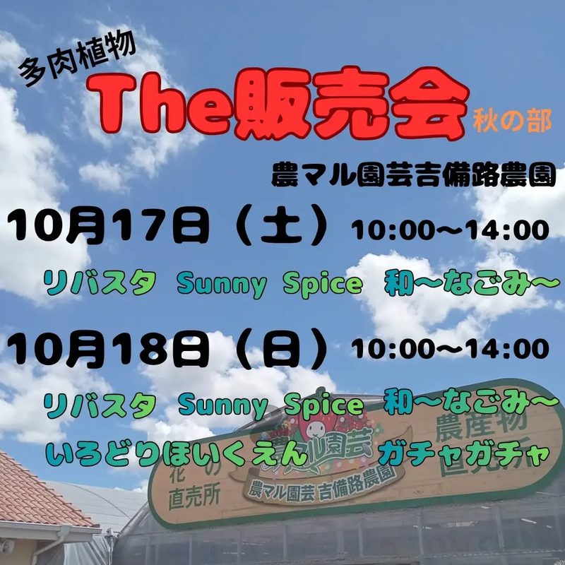 多肉植物と生マスタード『The販売会』秋の部（農マル園芸吉備路農園）