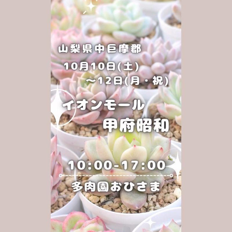 多肉園おひさま 多肉イベント in イオンモール甲府昭和