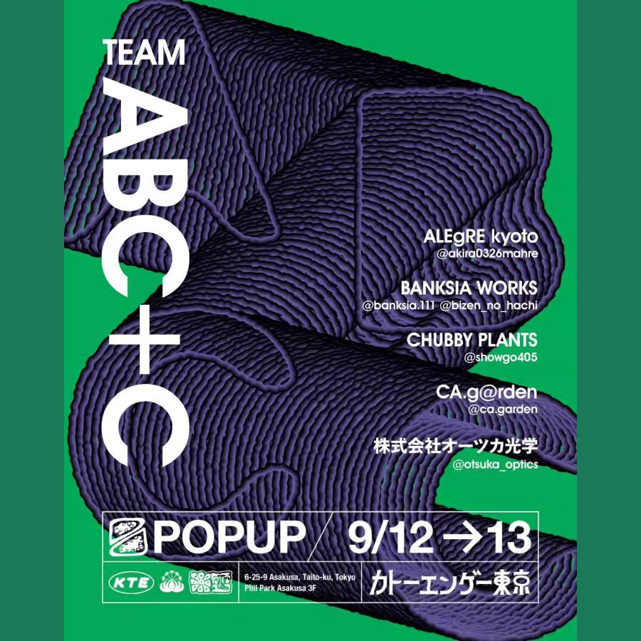 TEAM ABC+C+O+(M) POPUP