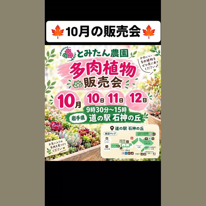 とみたん農園 多肉植物販売会(道の駅 石神の丘)