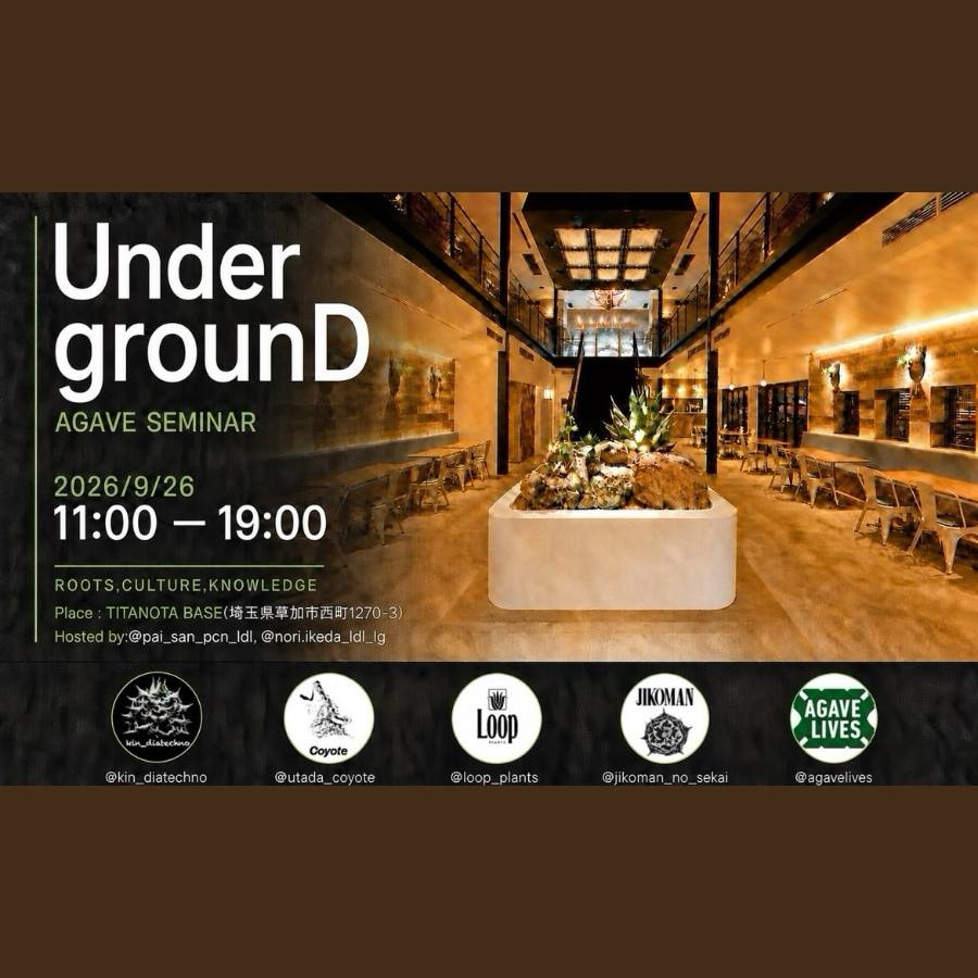 UndergrounD